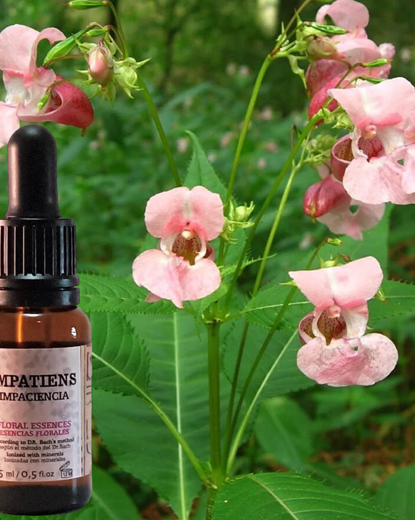 Florales de Bach Clínica Alternative Care